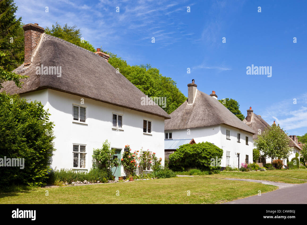 Hilera de casas unifamiliares tradicionales con techo de paja, Milton Abbas, Dorset, Inglaterra, Reino Unido. Foto de stock