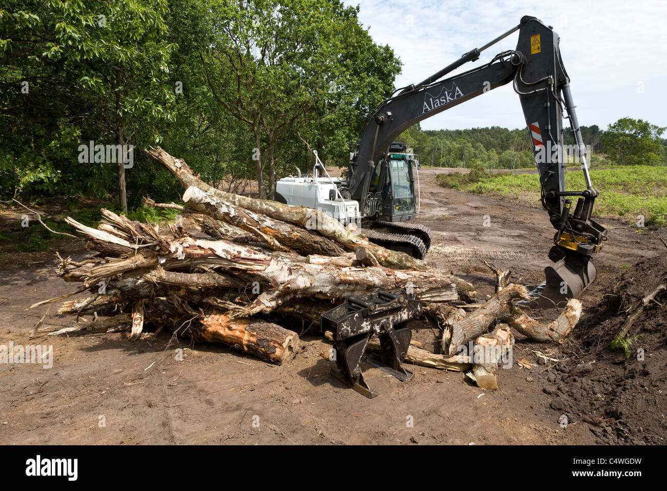 Norfolk Wildlife Trust project para borrar scrub y humus para alentar a los brezales áreas de campiña en el Lowes Holt, Norfolk, Foto de stock