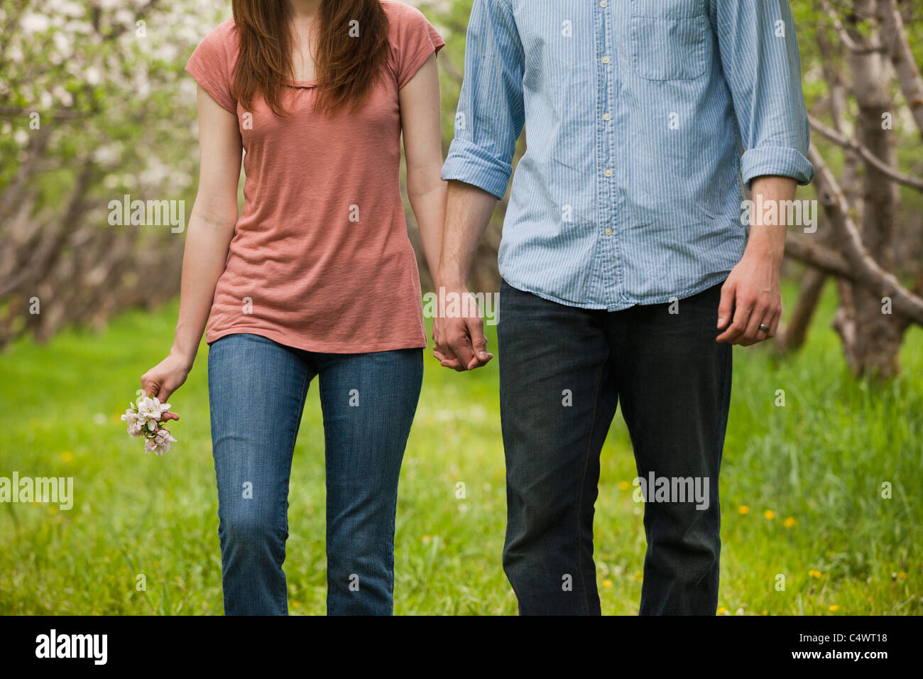 Provo, Utah, EE.UU., la joven pareja caminando a través de Orchard Foto de stock