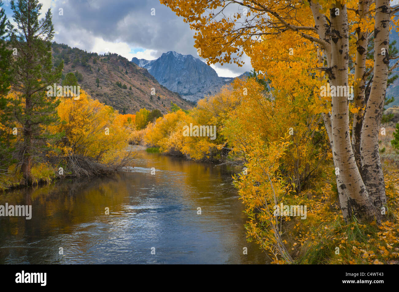 Estados Unidos,California,Río a través de la parte oriental de Sierra Nevada Mountains Foto de stock