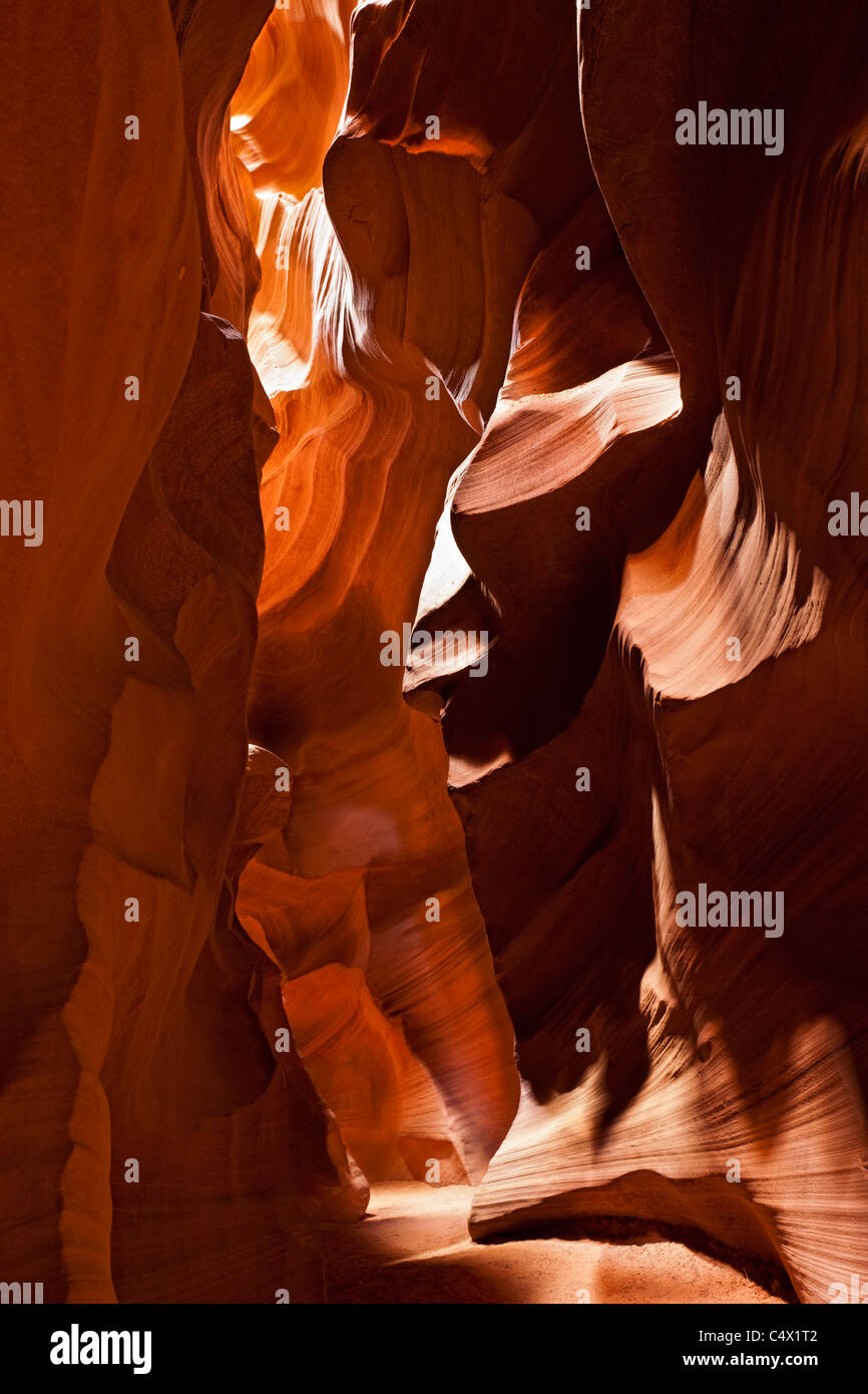 La luz del sol iluminando las curvas y líneas esculpidas tallados en las paredes de arenisca roja de Antelope Canyon por la erosión hídrica tierras Navajo en Arizona US Foto de stock
