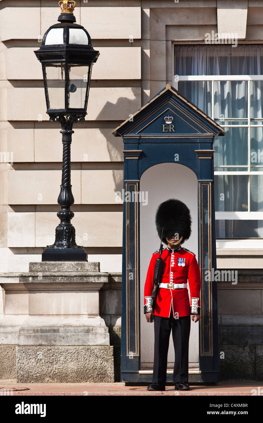 Guardia galés de guardia en el Palacio de Buckingham Foto de stock
