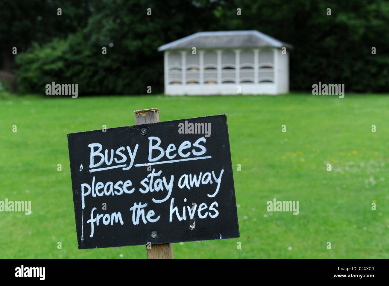 Las abejas ocupado señal de advertencia cerca de la Georgian House abeja Foto de stock