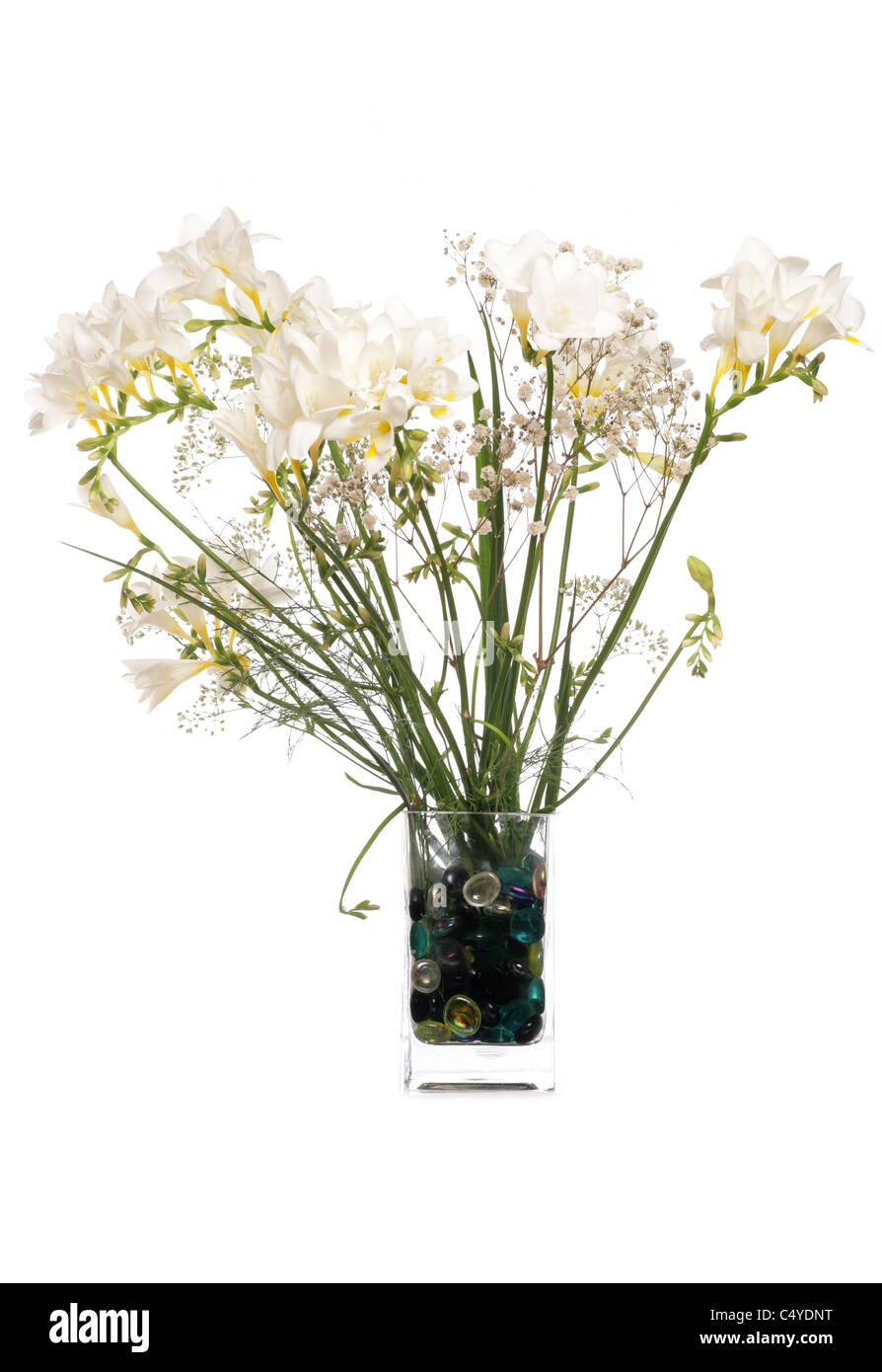 Flores blancas en un florero studio recorte Foto de stock