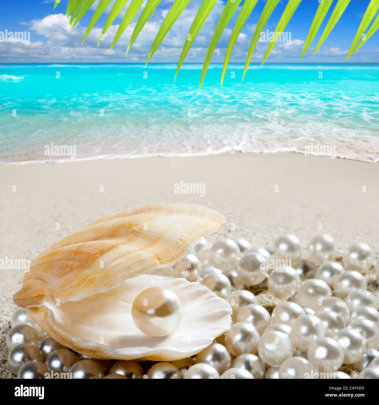 La perla del Caribe dentro de concha de almeja en la playa de arena blanca en un bosque tropical mar turquesa Foto de stock
