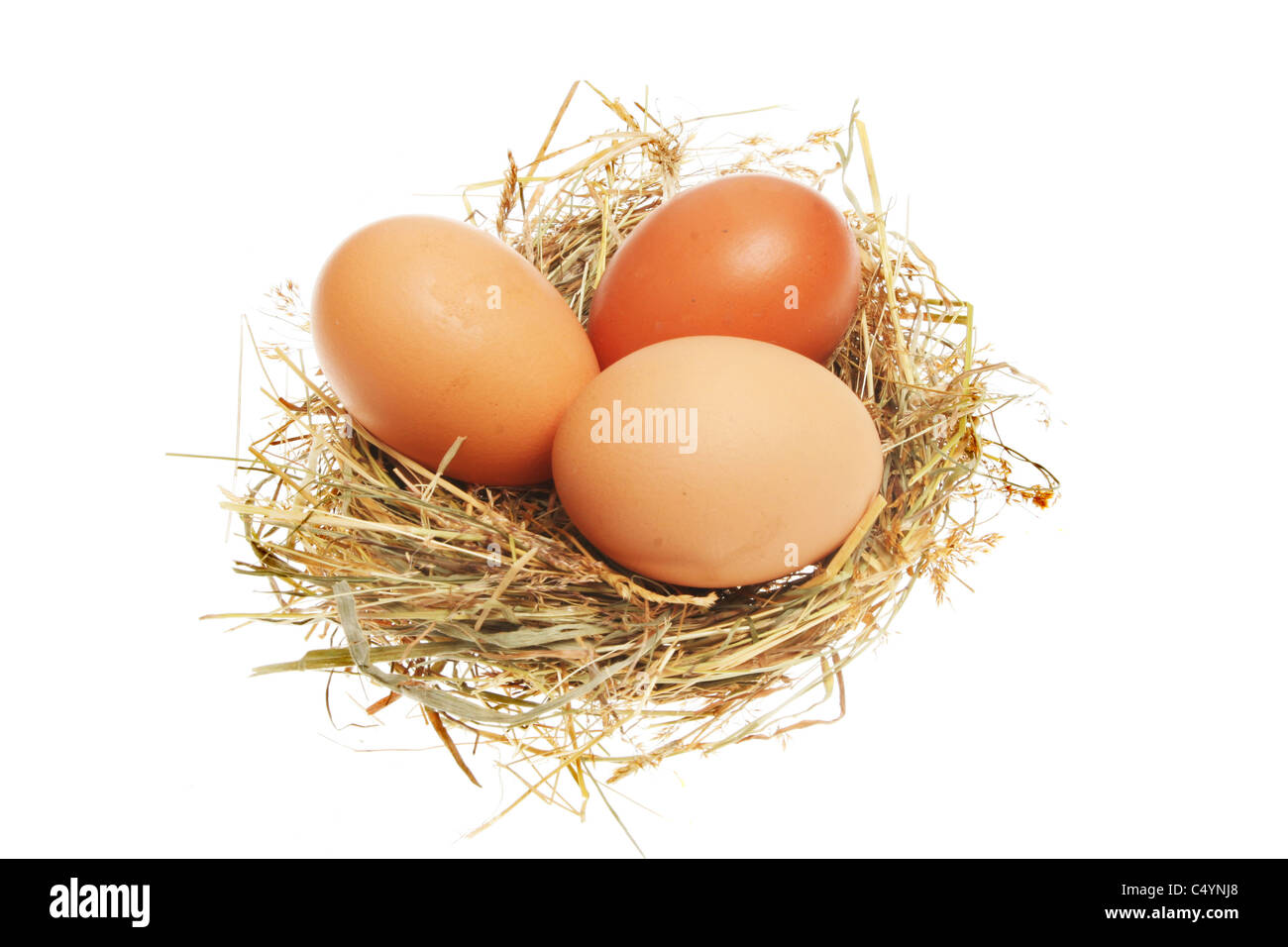 Tres huevos de gallina en un nido de paja Foto de stock