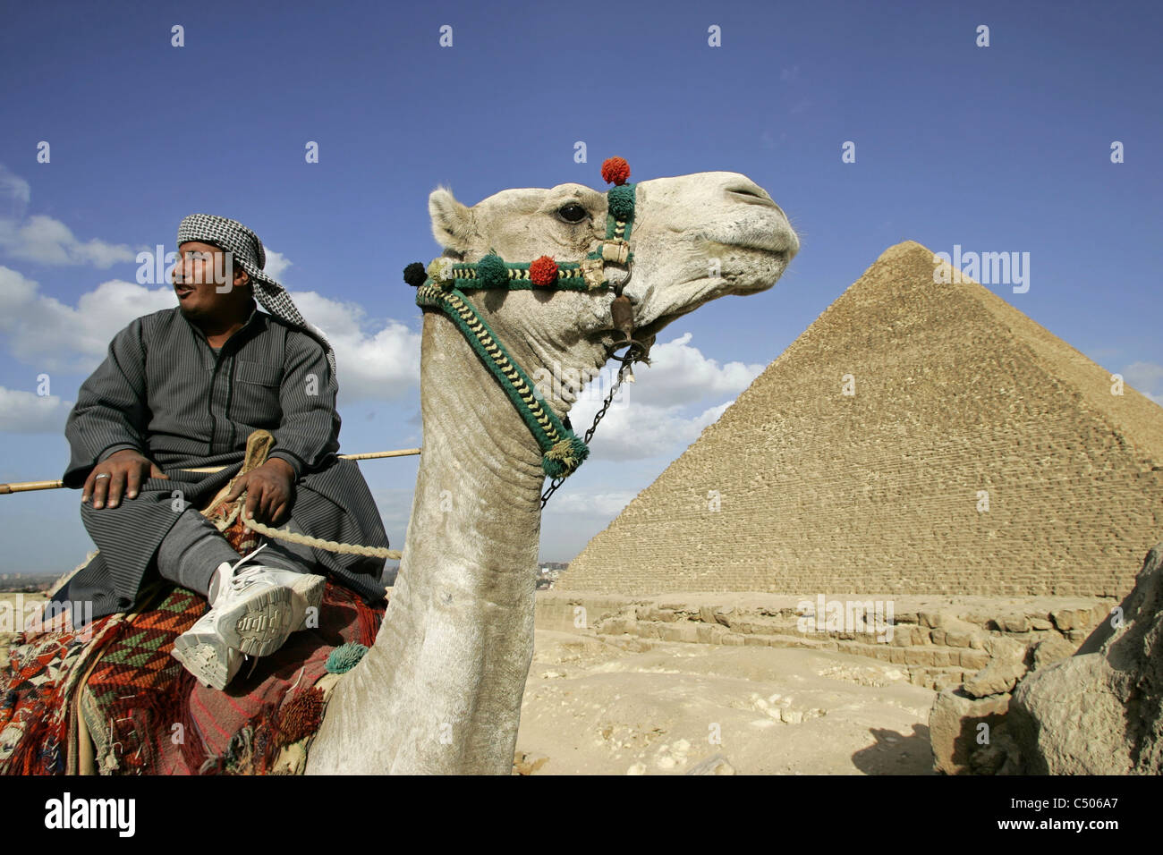Un beduino tribesman y su camello en frente de la Gran Pirámide de Khufu en Giza, en El Cairo, Egipto. Foto de stock