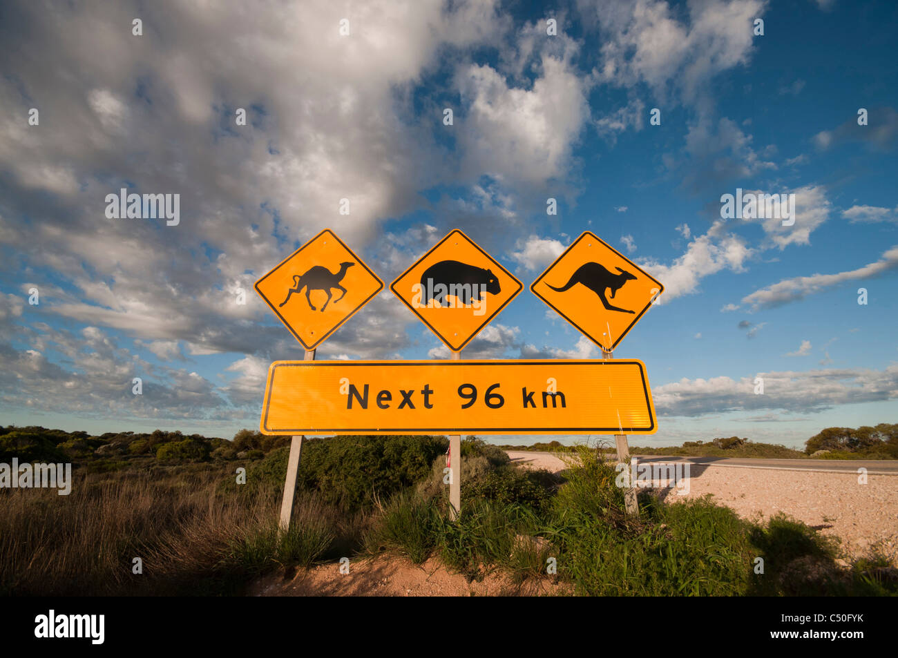Señalización de la Nullarbor Plain indicando la presencia de camellos, wombat, y canguros en la carretera Foto de stock