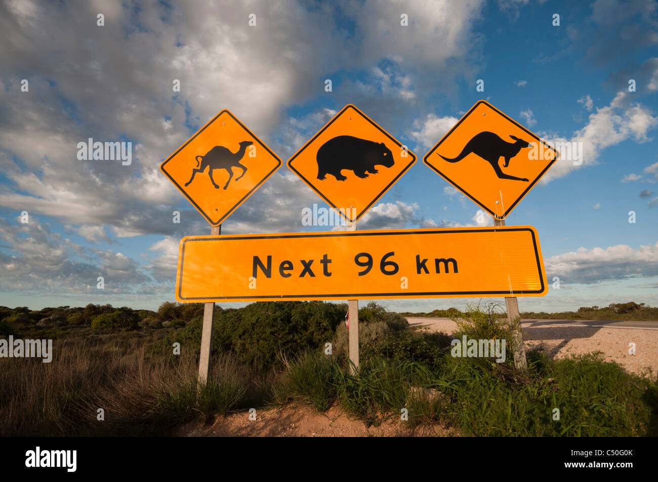 Señalización de la Nullarbor Plain indicando la presencia de camellos, wombat, y canguros en la carretera Foto de stock