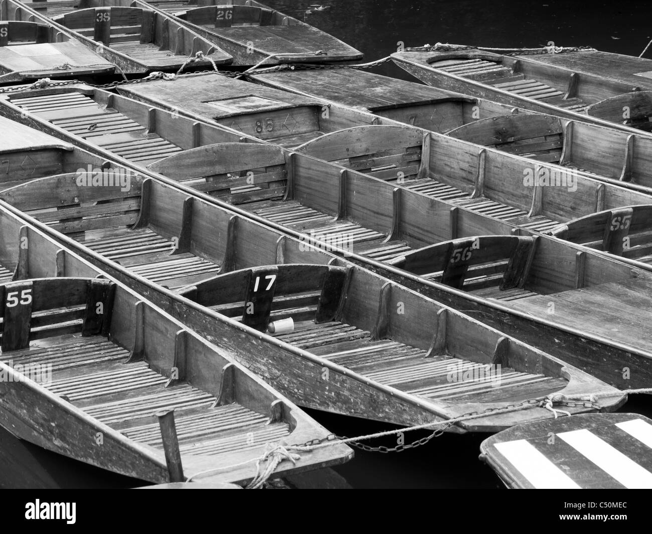 Punts listo para alquilar en el río Cherwell en Oxford, Inglaterra. Foto de stock