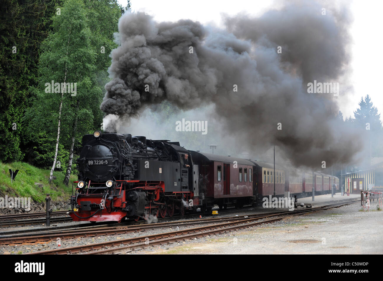 Locomotora de vapor en Schierke estación de ferrocarril en la región del Harz Alemania Sajonia-Anhalt Foto de stock