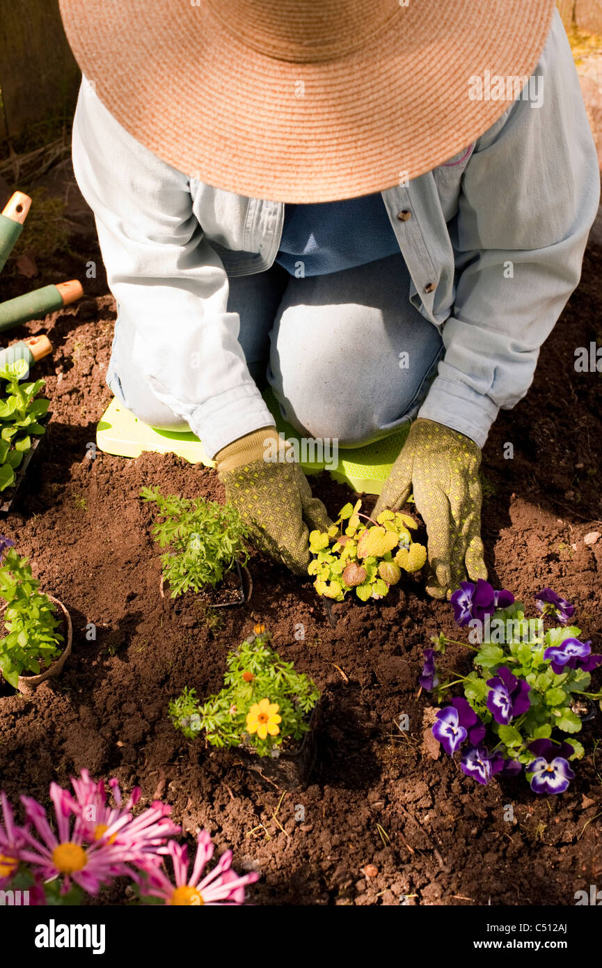 Mujer madura en jardinería jardín plantar flores y plantas Foto de stock