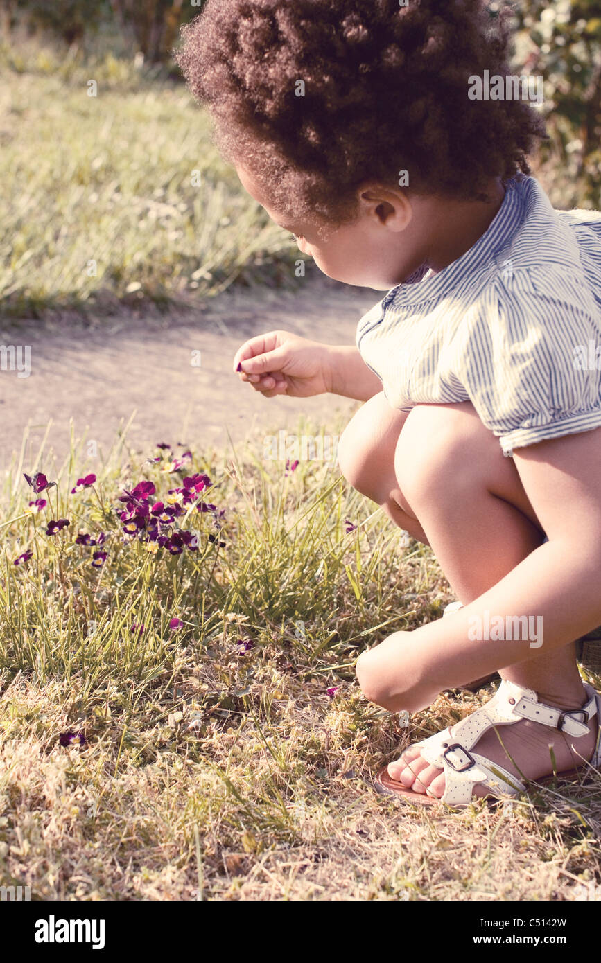 Niña mirando un pétalo en su mano Foto de stock