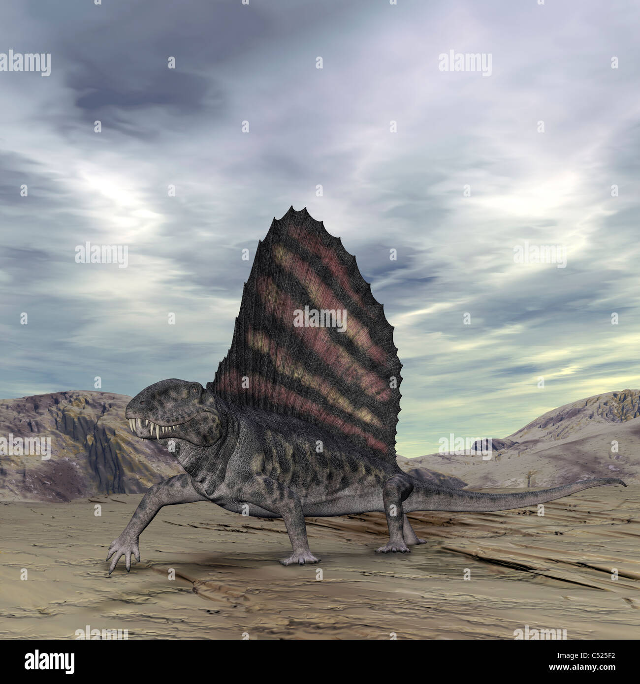 Dimetrodon grandis atraviesa la Tierra durante el período Pérmico Temprano. Foto de stock