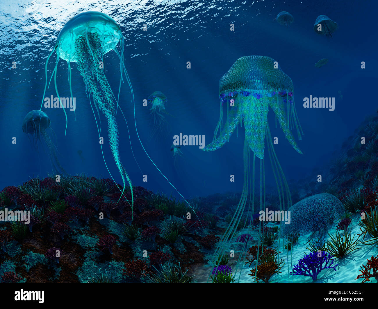 Un enjambre de medusas Panthalassic nadar en el océano. Foto de stock