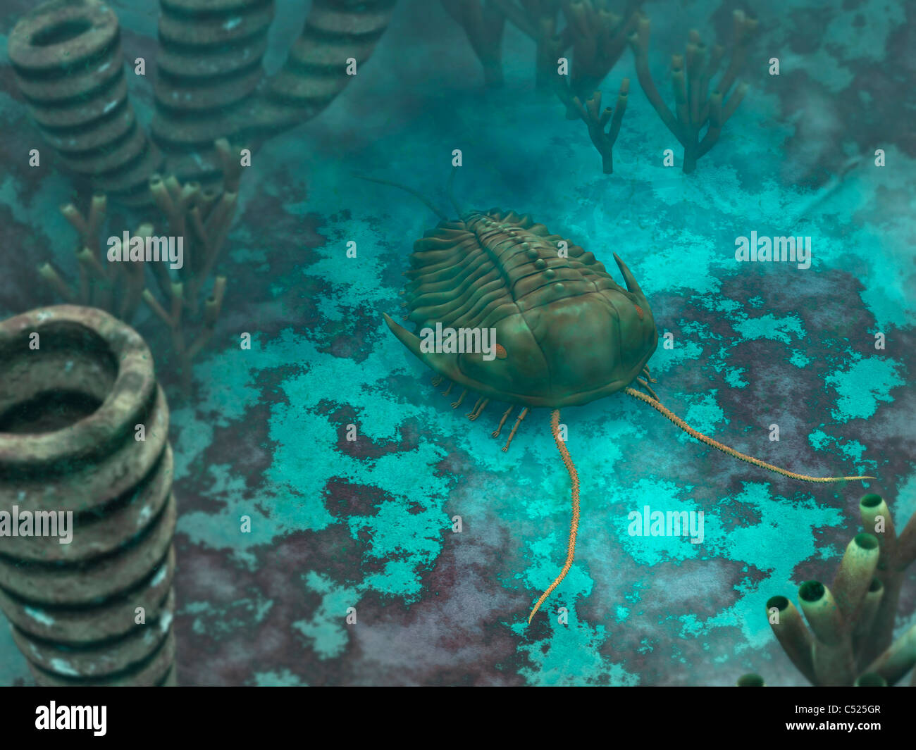 Un trilobites Olenoides scurries cruzando un Cï¿½brico medio oceánico. Foto de stock