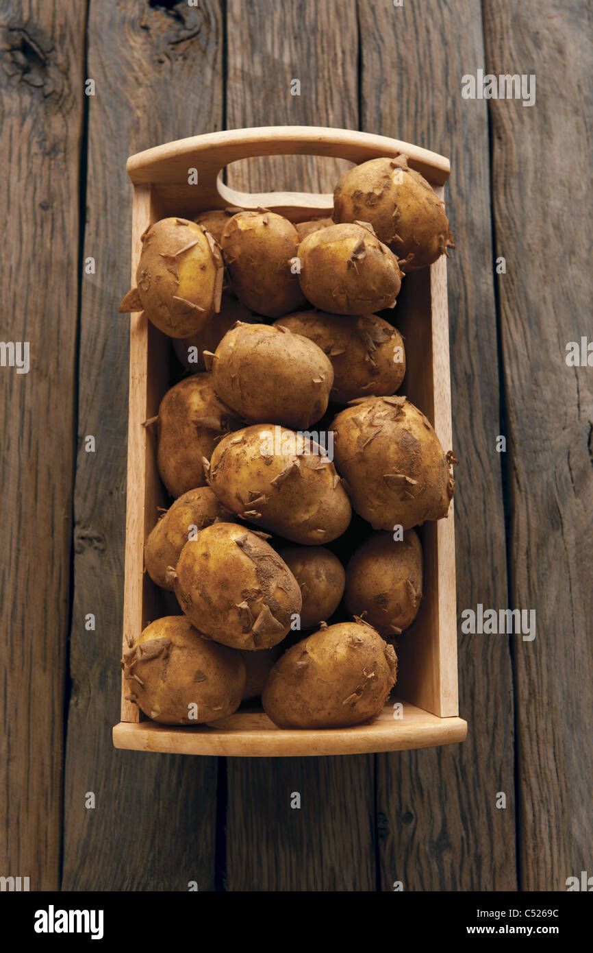 Jersey patatas real Foto de stock