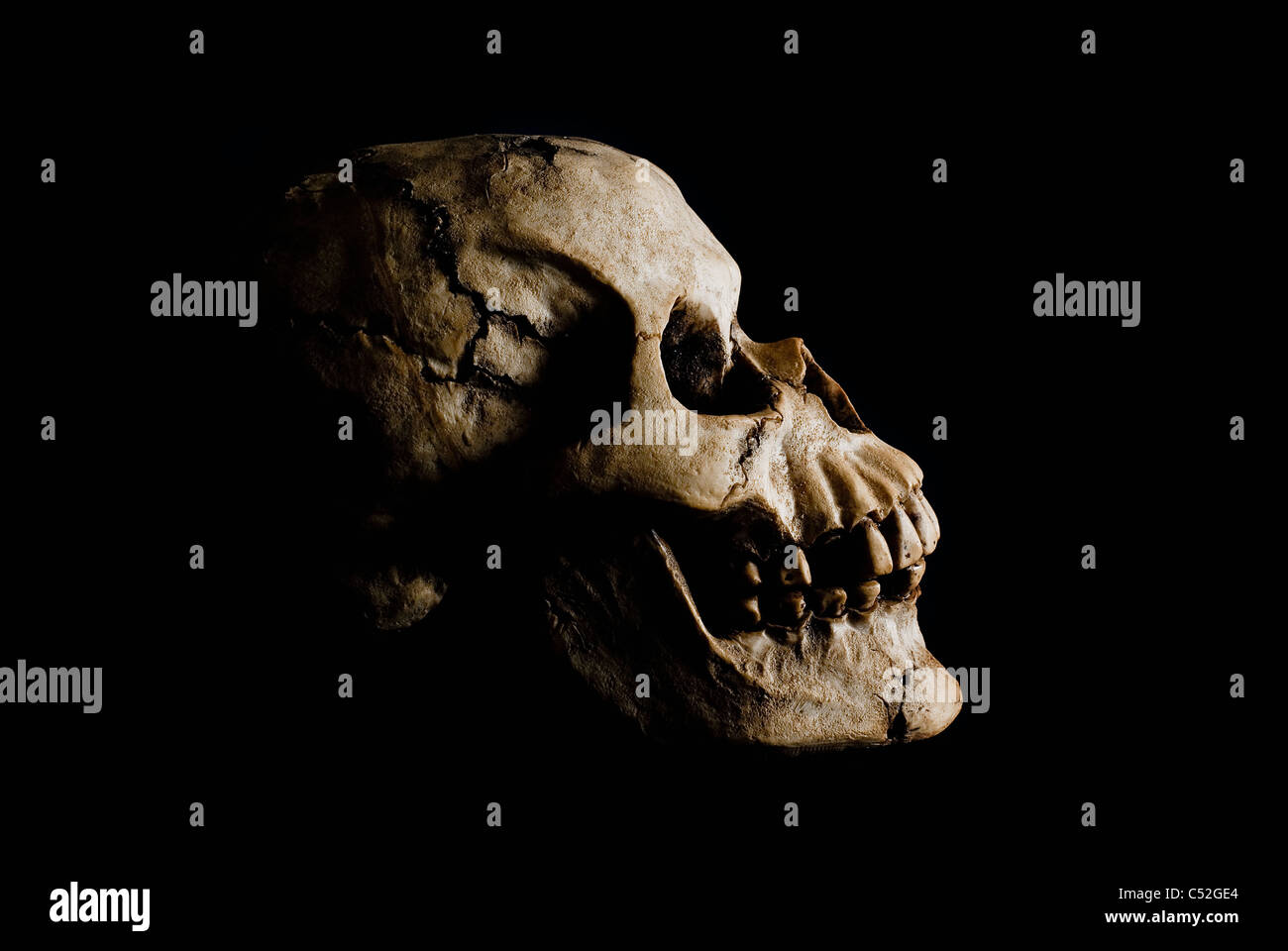 Vista lateral (perfil) de la antigua cráneo humano en sombra profunda. Foto de stock