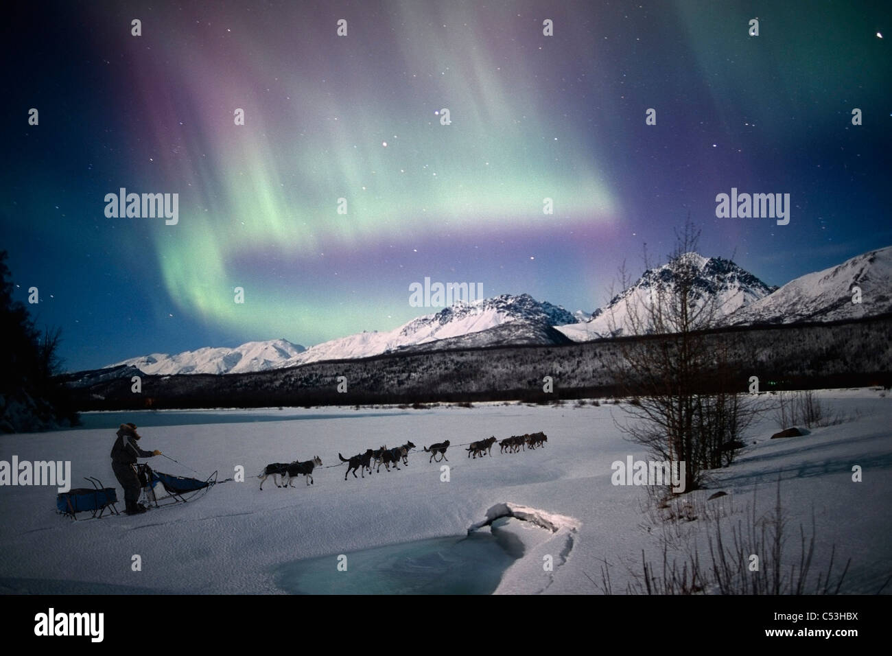 Equipo de perros de mushing sobre el río Matanuska con Northern Lights