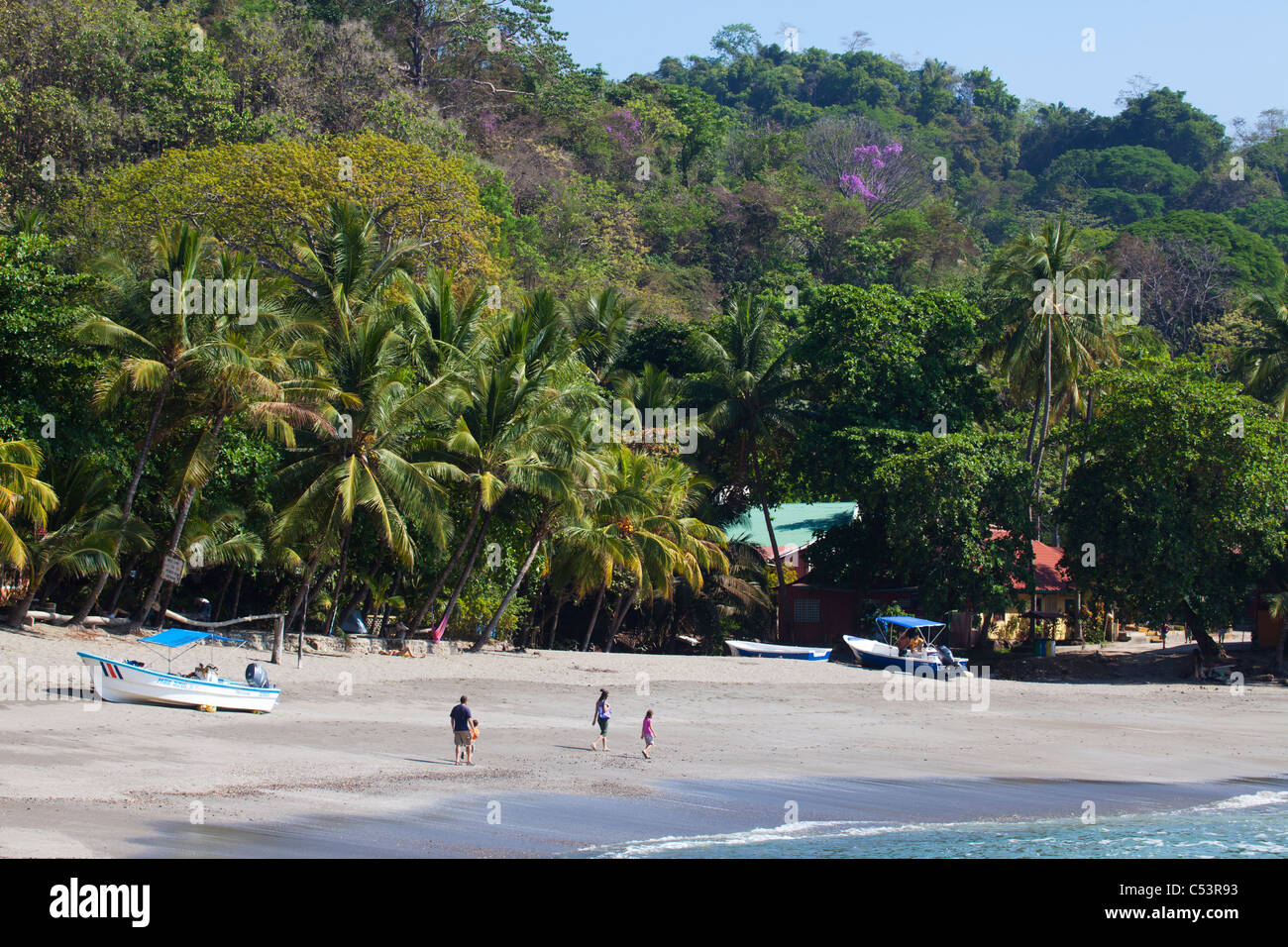 La playa y el bosque lluvioso tropical Montezuma Costa Rica Foto de stock