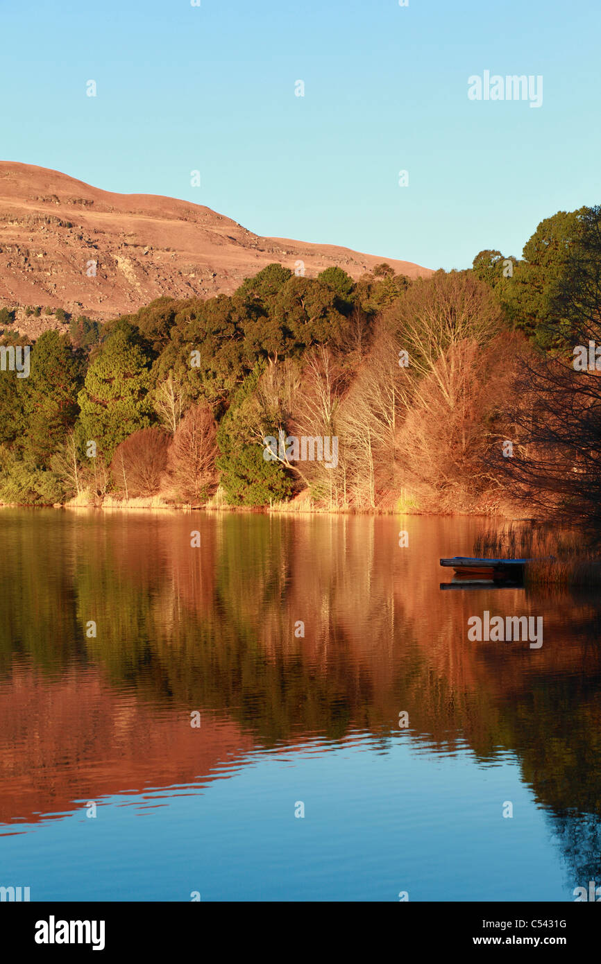 Por la mañana temprano en el invierno de sol reflejándose en un lago en los árboles a lo largo de la costa. KwaZulu Natal, Sudáfrica. Foto de stock