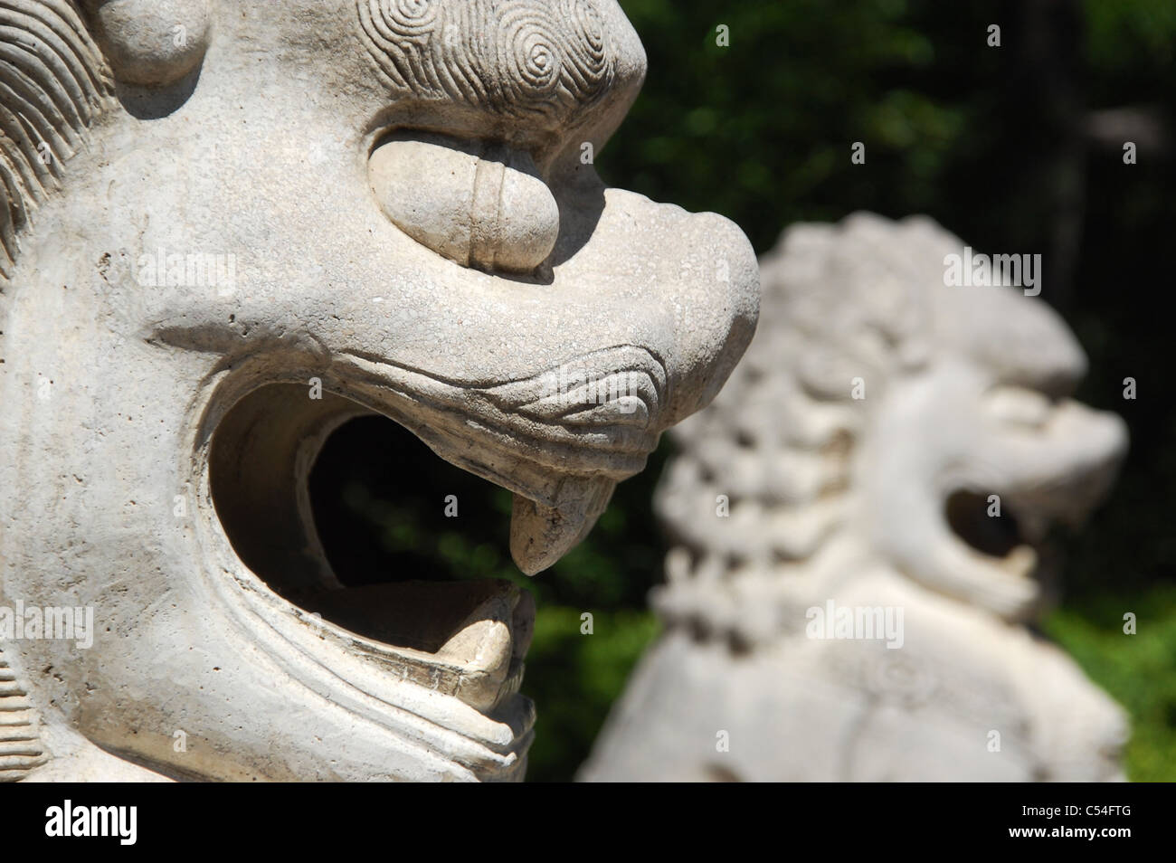 Un par de leones Shishi, simbólica de la tutela y protección. Las estatuas de mármol, tanto en el primer plano y el fondo. Foto de stock