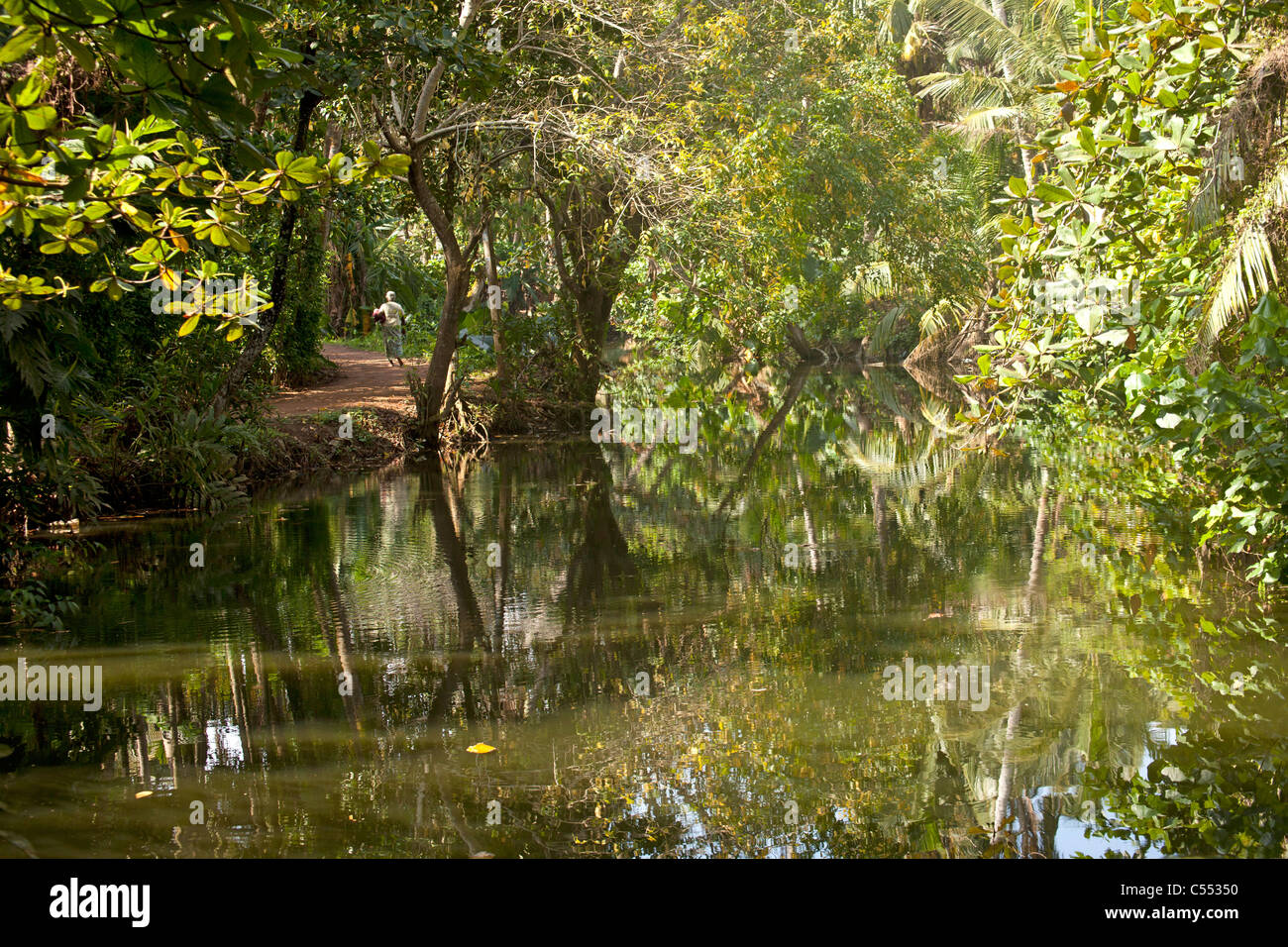 La vegetación tropical y el río cerca de Mirissa, Sri Lanka Foto de stock