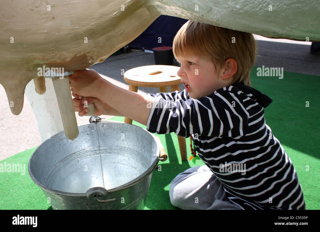 Un muchacho tratando de leche de la ubre artificial Foto de stock