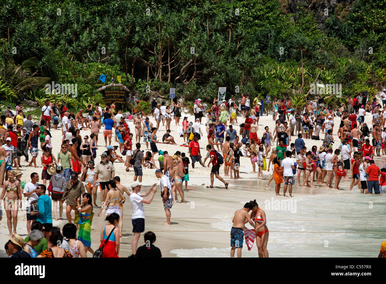 Multitudes de personas y turistas en la playa Maya Bay donde la playa fue filmada, Ko Phi Phi Ley, Phuket, Tailandia Foto de stock