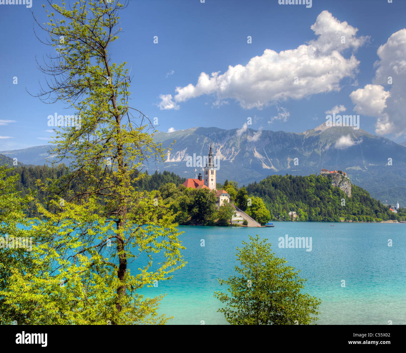 SLO - GORENJSKA REGIÓN: Lago Bled y la isla es la Iglesia de la Asunción Foto de stock