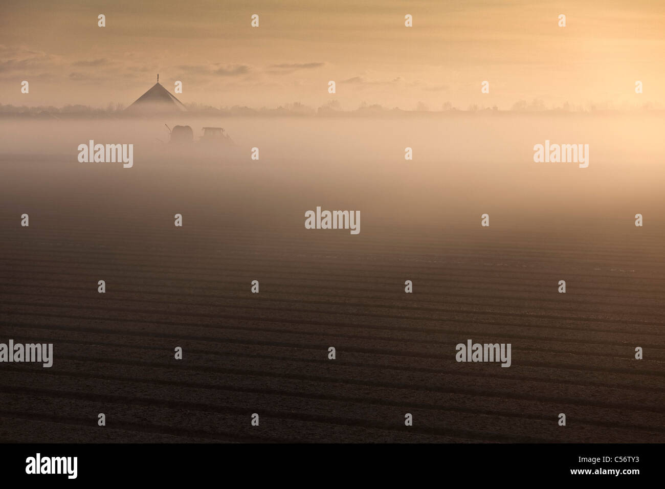 Los Países Bajos, Callantsoog, granja en la niebla de la mañana. Foto de stock