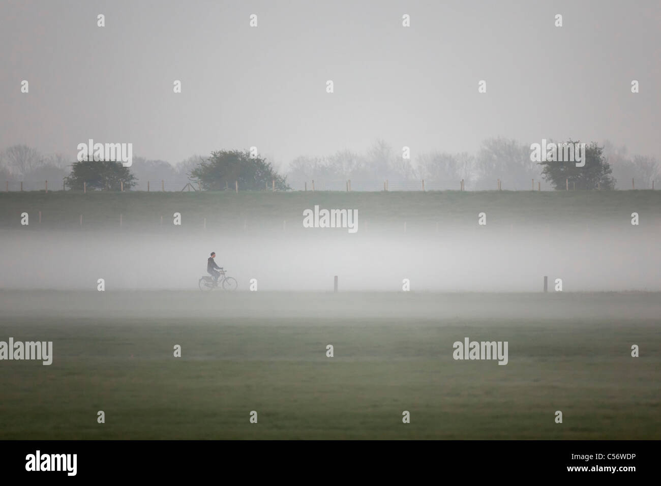 Los Países Bajos, Niedorp, hombre en bicicleta en la niebla de la mañana. Foto de stock