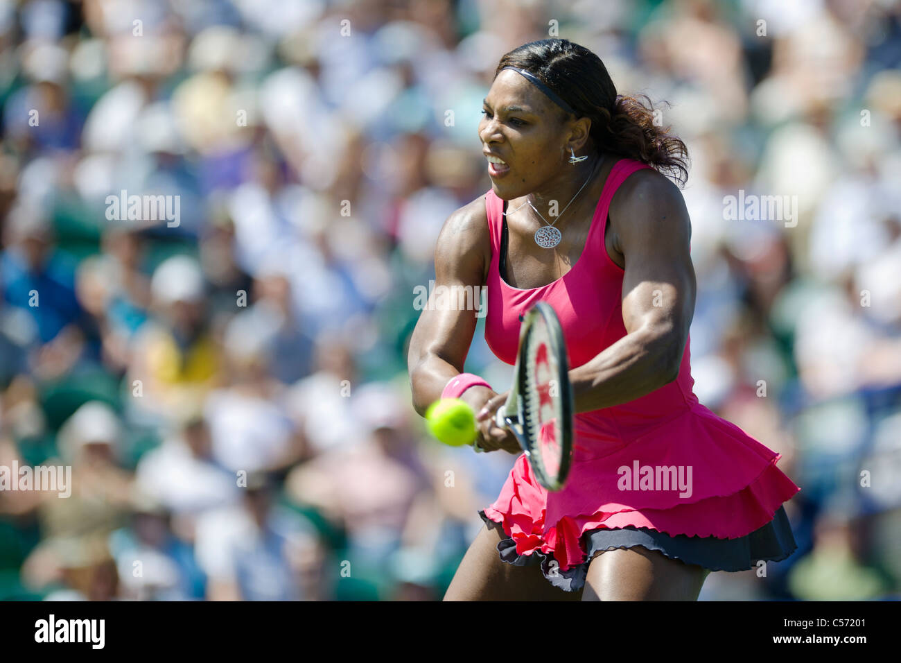 Aegon torneo internacional de tenis 2011, Eastbourne, East Sussex. Serena Williams de Estados Unidos. Foto de stock