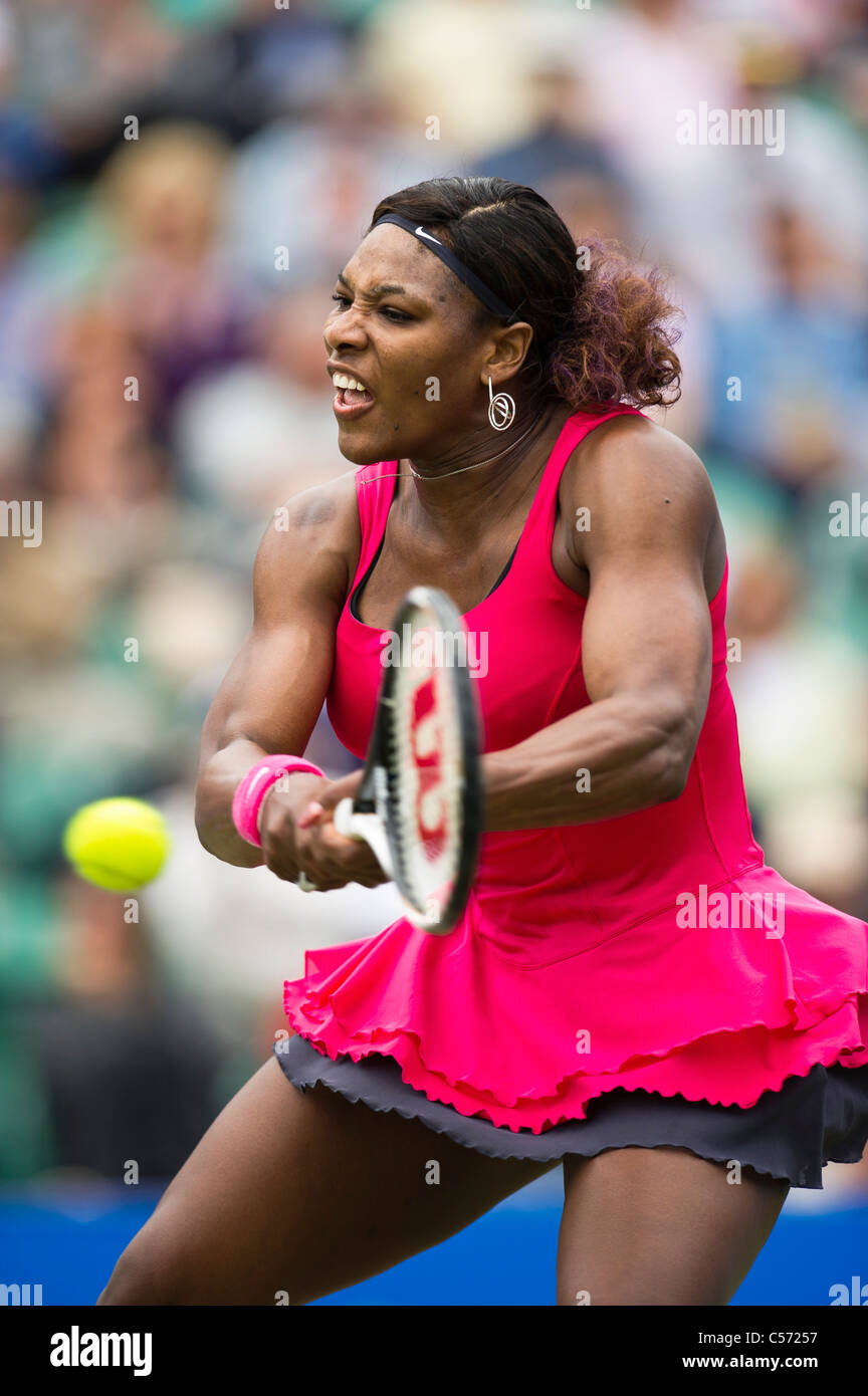 Aegon torneo internacional de tenis 2011, Eastbourne, East Sussex. Serena Williams de Estados Unidos. Foto de stock