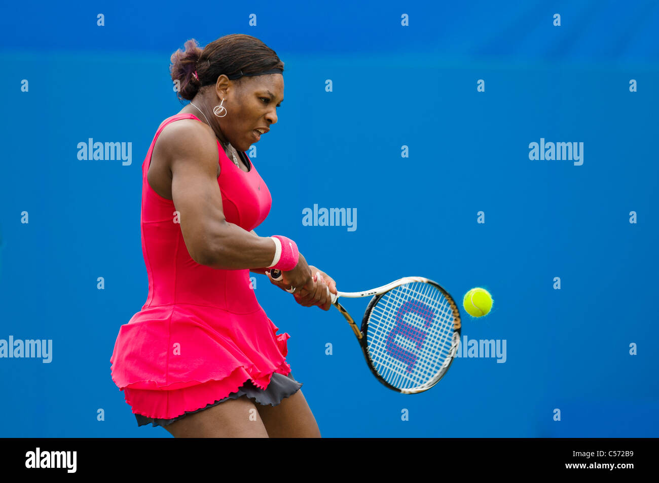 Aegon torneo internacional de tenis 2011, Eastbourne, East Sussex. Serena Williams de Estados Unidos. Foto de stock