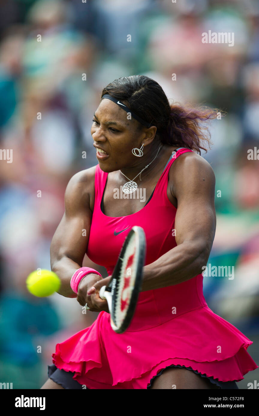 Aegon torneo internacional de tenis 2011, Eastbourne, East Sussex. Serena Williams de Estados Unidos. Foto de stock