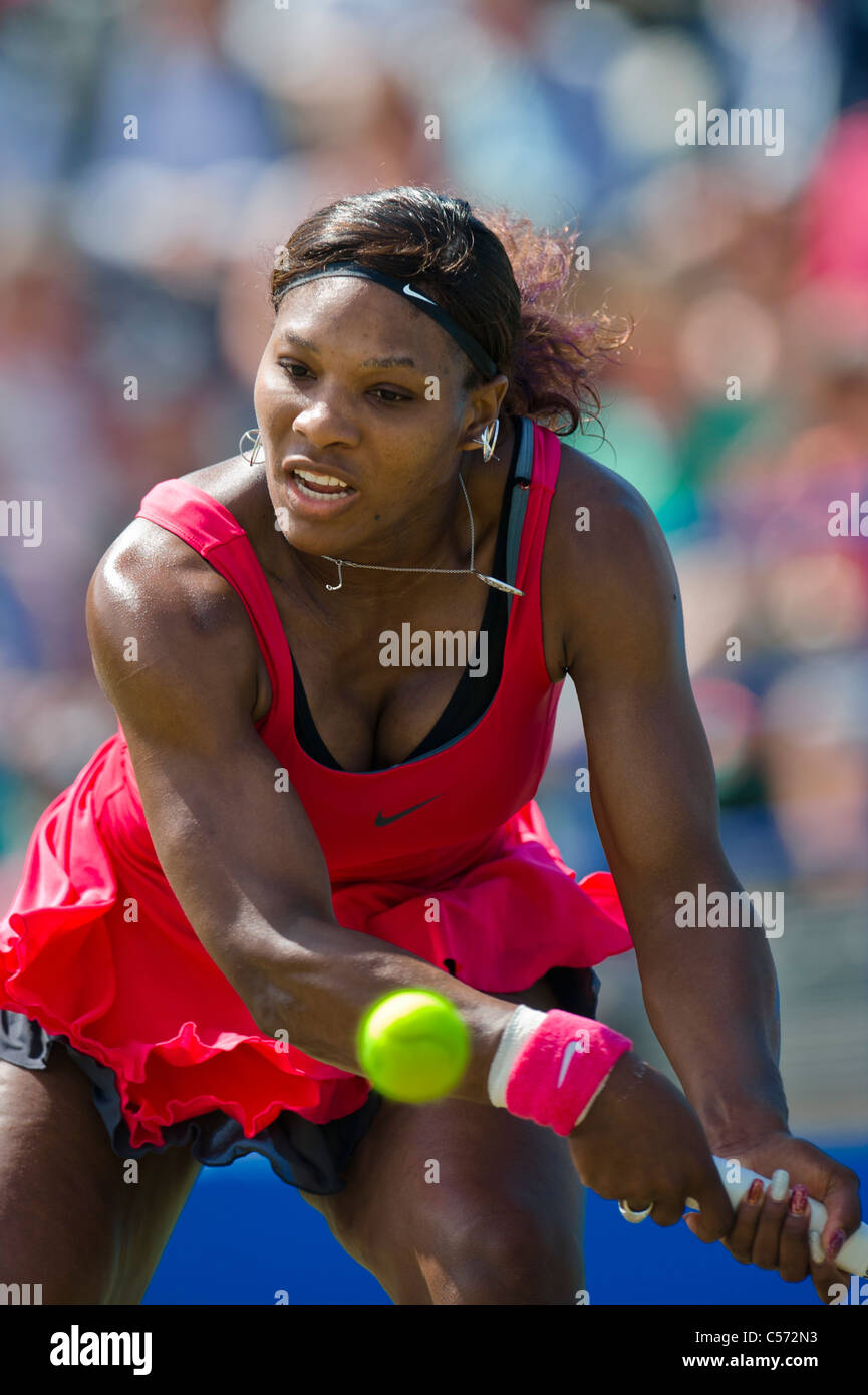 Aegon torneo internacional de tenis 2011, Eastbourne, East Sussex. Serena Williams de Estados Unidos. Foto de stock