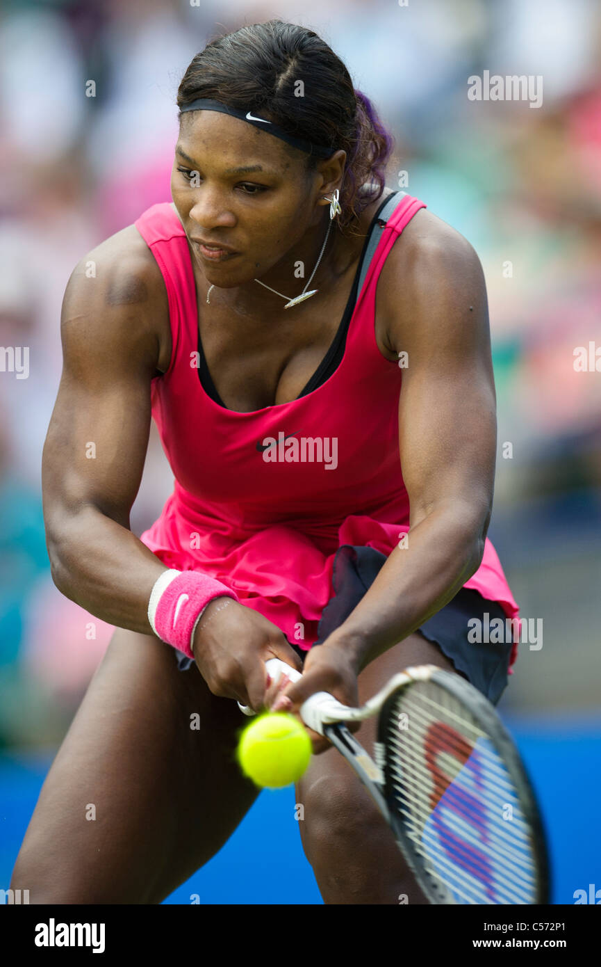 Aegon torneo internacional de tenis 2011, Eastbourne, East Sussex. Serena Williams de Estados Unidos. Foto de stock