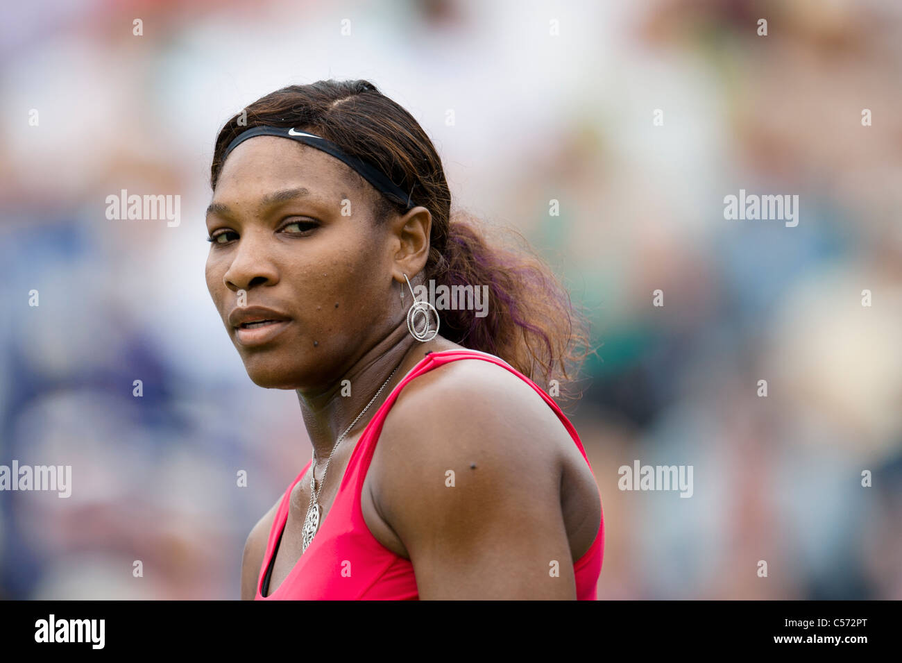 Aegon torneo internacional de tenis 2011, Eastbourne, East Sussex. Serena Williams de Estados Unidos. Foto de stock