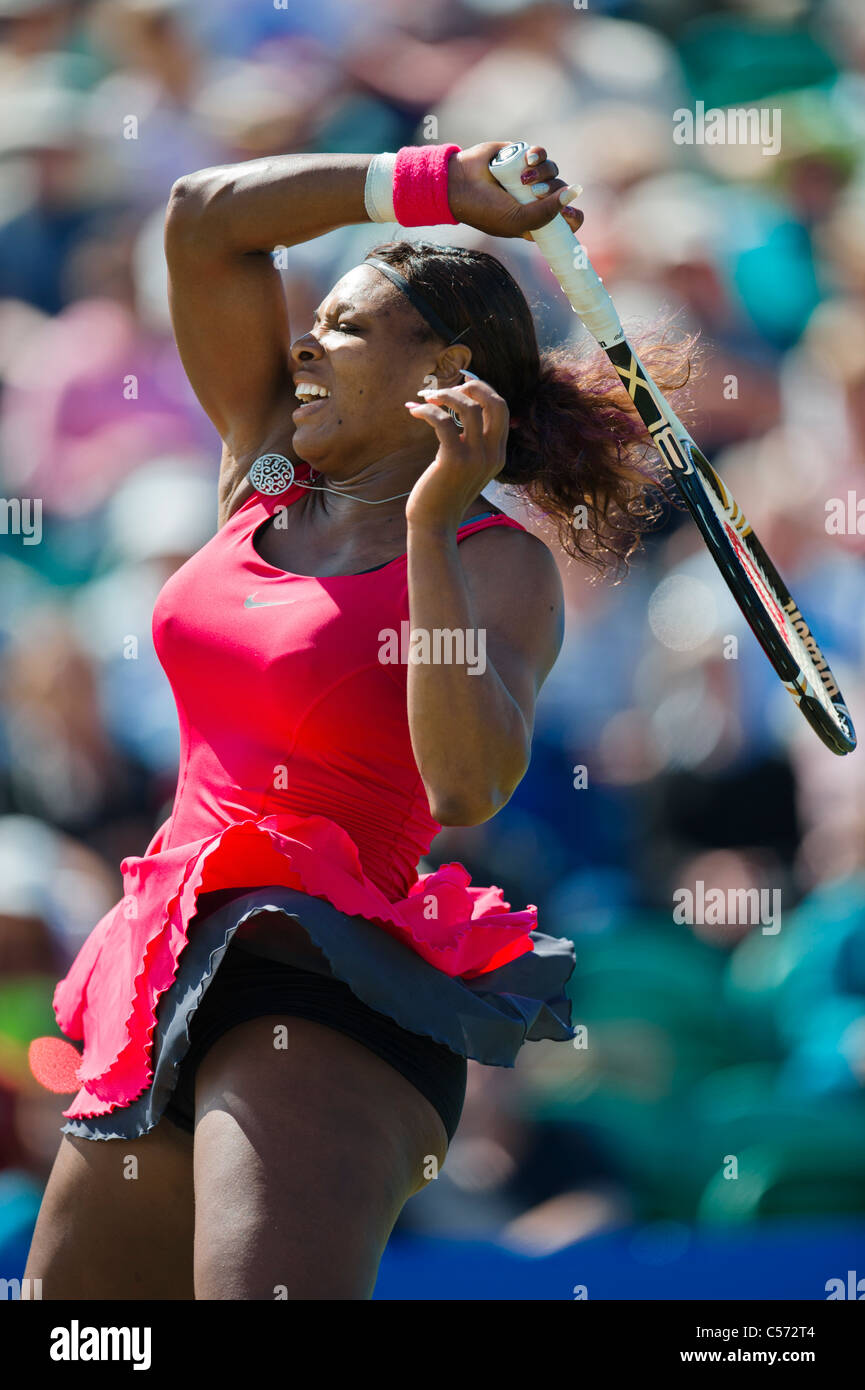 Aegon torneo internacional de tenis 2011, Eastbourne, East Sussex. Serena Williams de Estados Unidos. Foto de stock