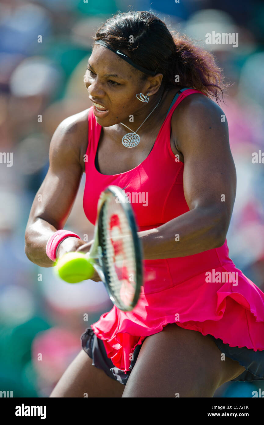 Aegon torneo internacional de tenis 2011, Eastbourne, East Sussex. Serena Williams de Estados Unidos. Foto de stock