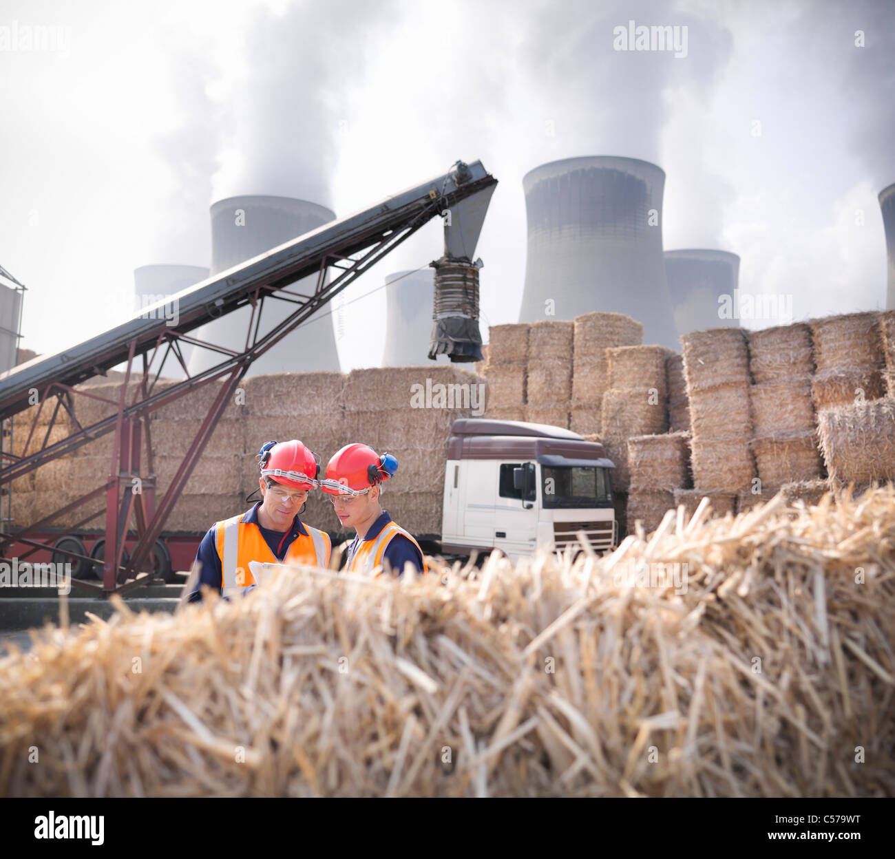 Los trabajadores en la planta de combustible de biomasa Foto de stock