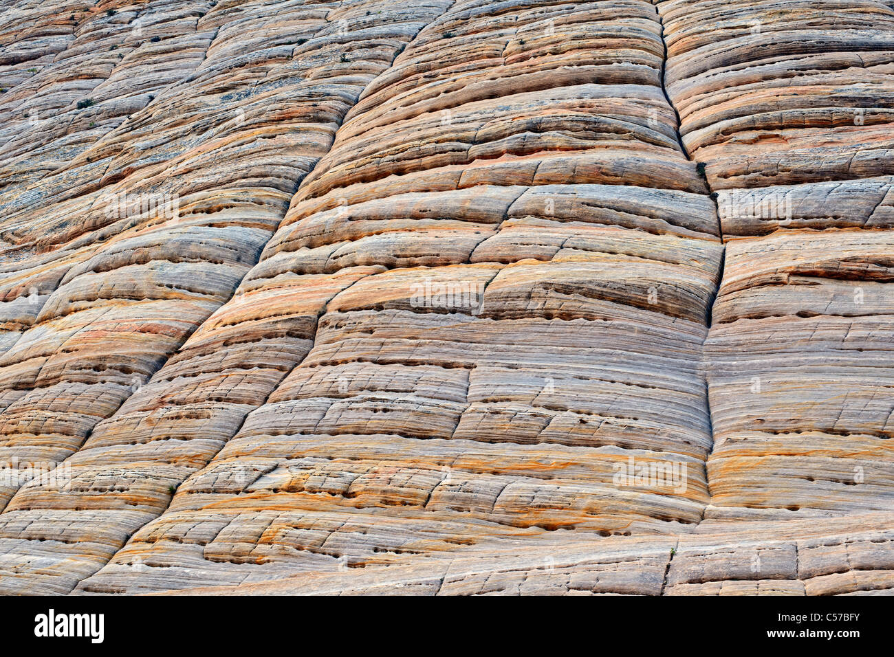 Patrones de tablero de piedra arenisca de Navajo en Utah Zion National Park. Foto de stock
