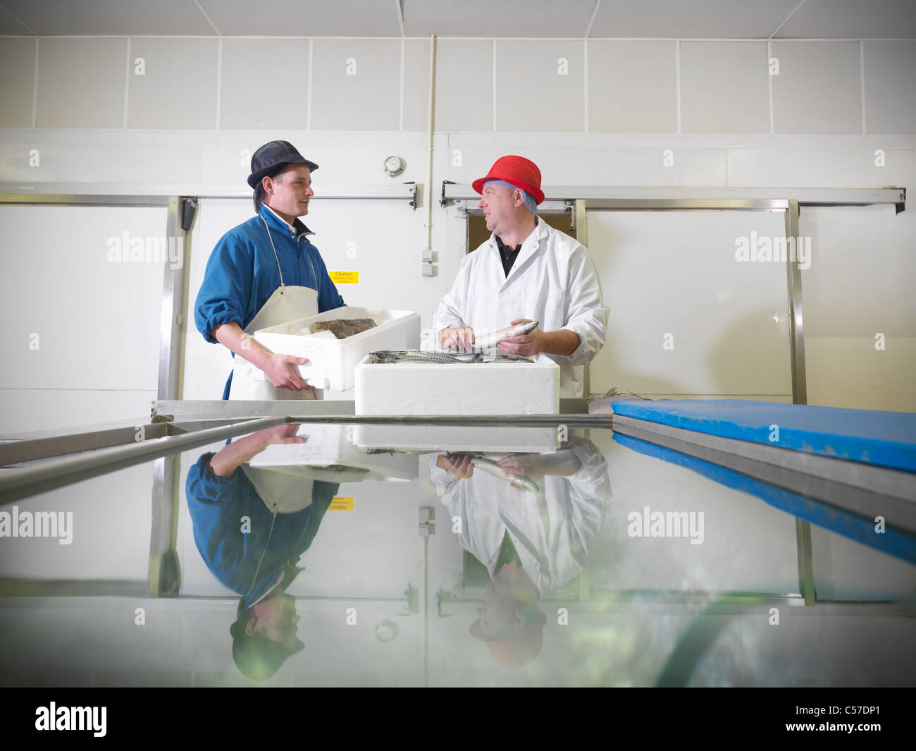 Los trabajadores que están en posesión de pescado fresco en planta Foto de stock