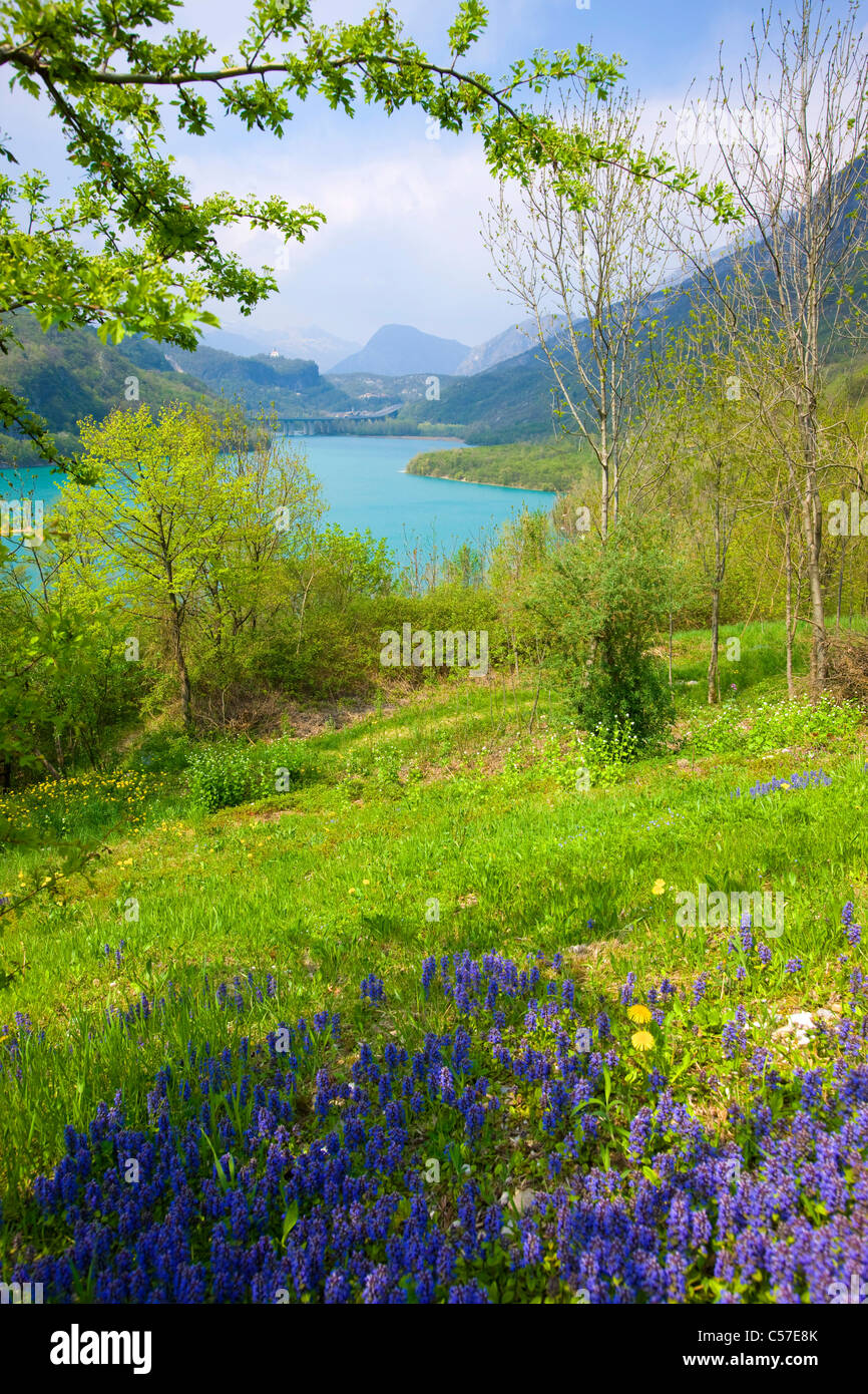 Lago di Cavazzo, Italia, Europa, Friuli-Venezia Giulia, lago, mar, árboles, pradera, flores Foto de stock