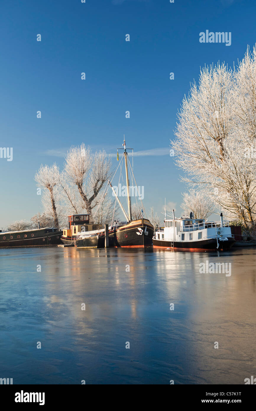 Los Países Bajos, Nigtevecht, botes en el río llamado Vecht. En invierno, las heladas. Foto de stock