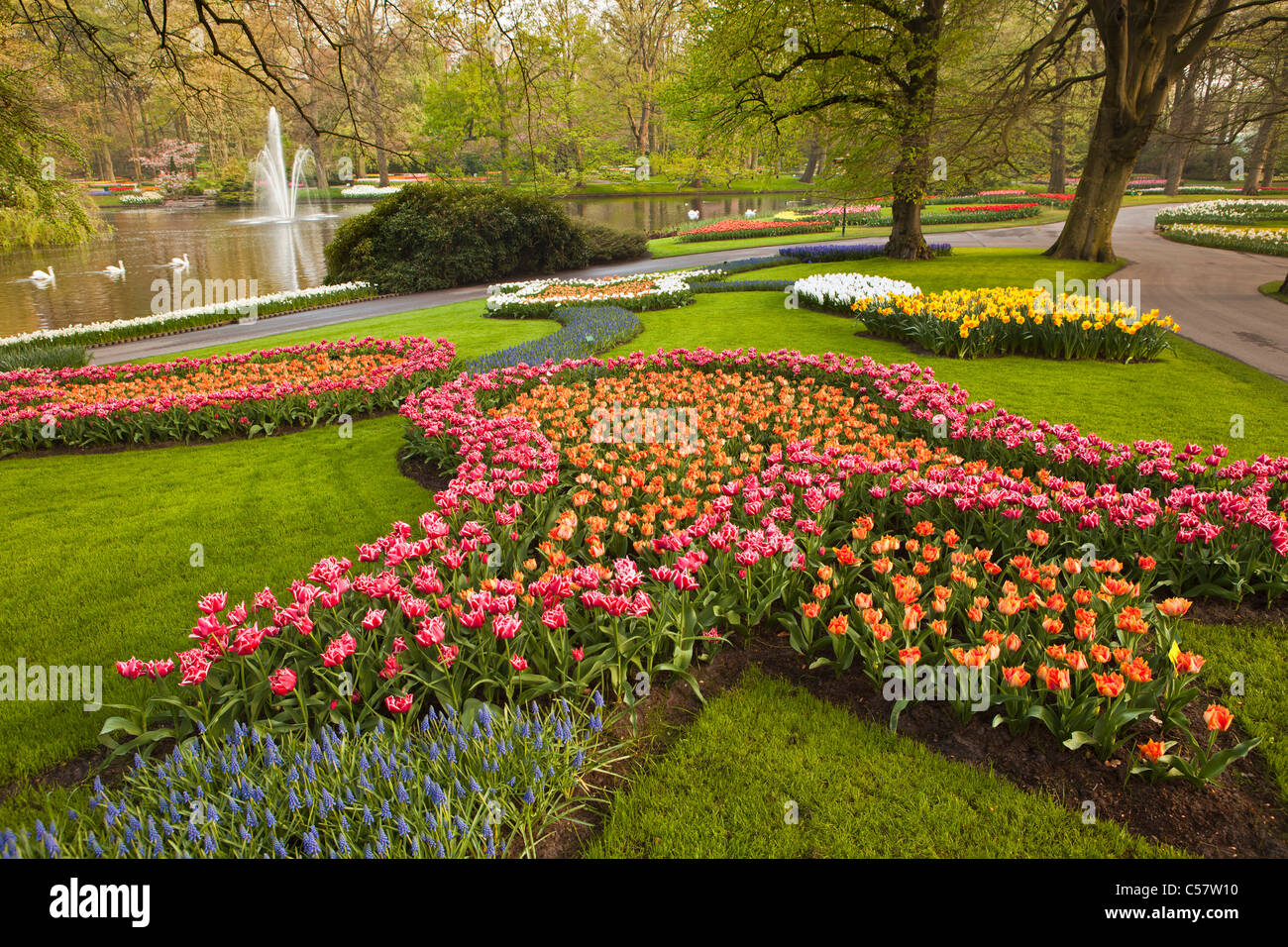 Los Países Bajos, Lisse, Keukenhof Flower Garden, principalmente Tulip. Foto de stock