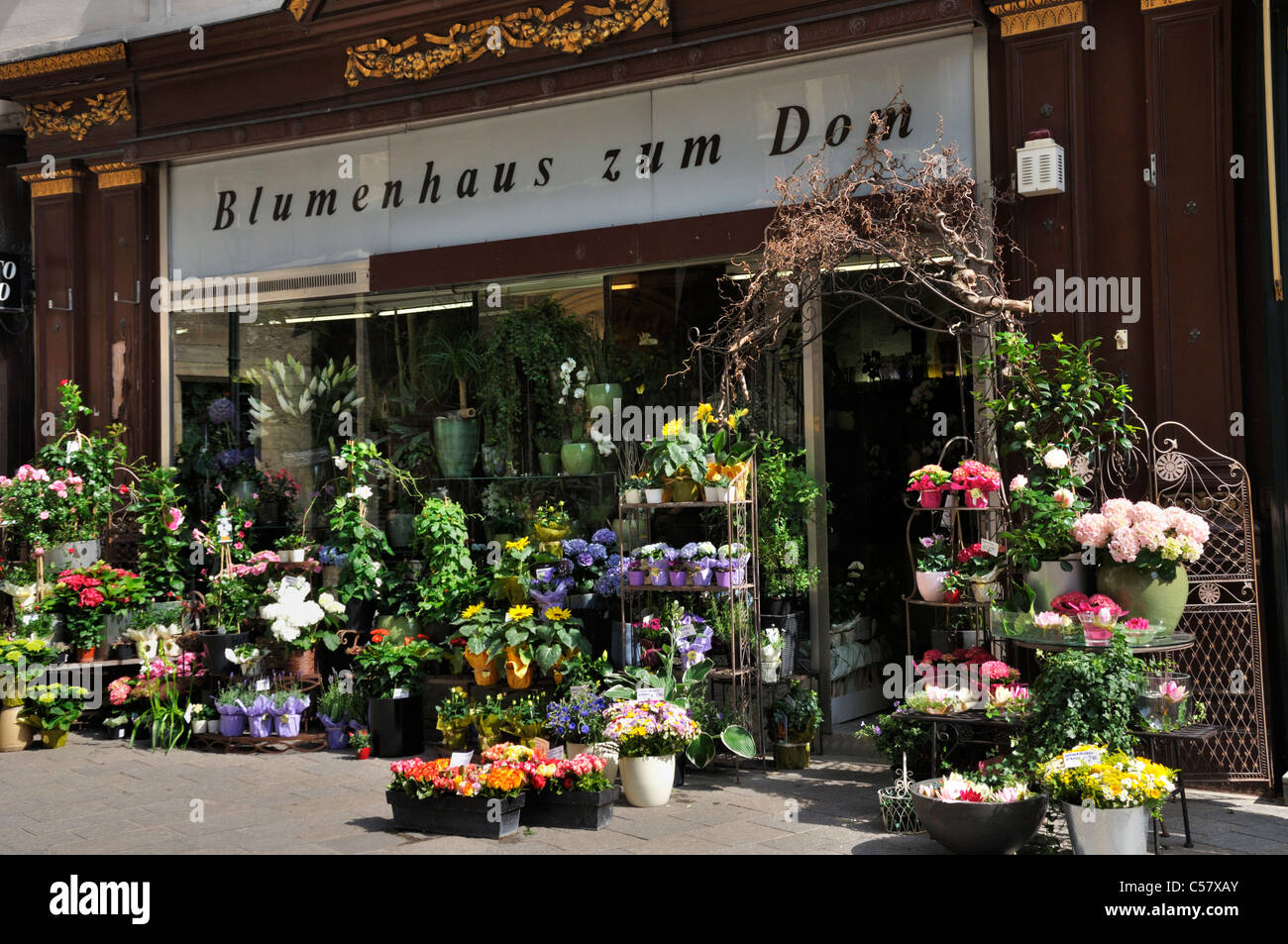 Tienda de flores en Stephansplatz, Viena, Austria, Europa, junio de 2011 Foto de stock