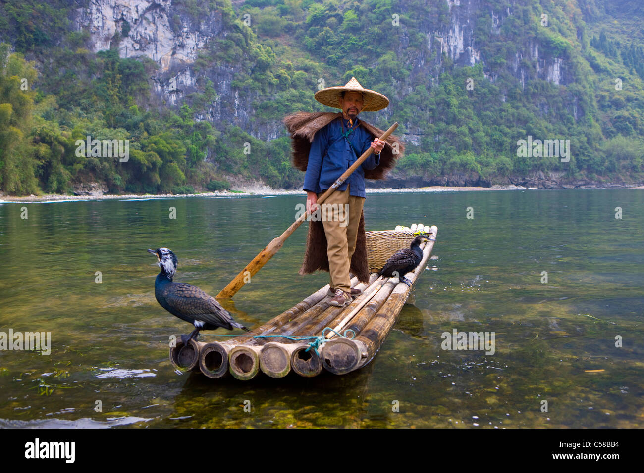 Río Li, China, Asia, río, caudal, pescador, barco, barco de bambú, aves, cormoranes Foto de stock