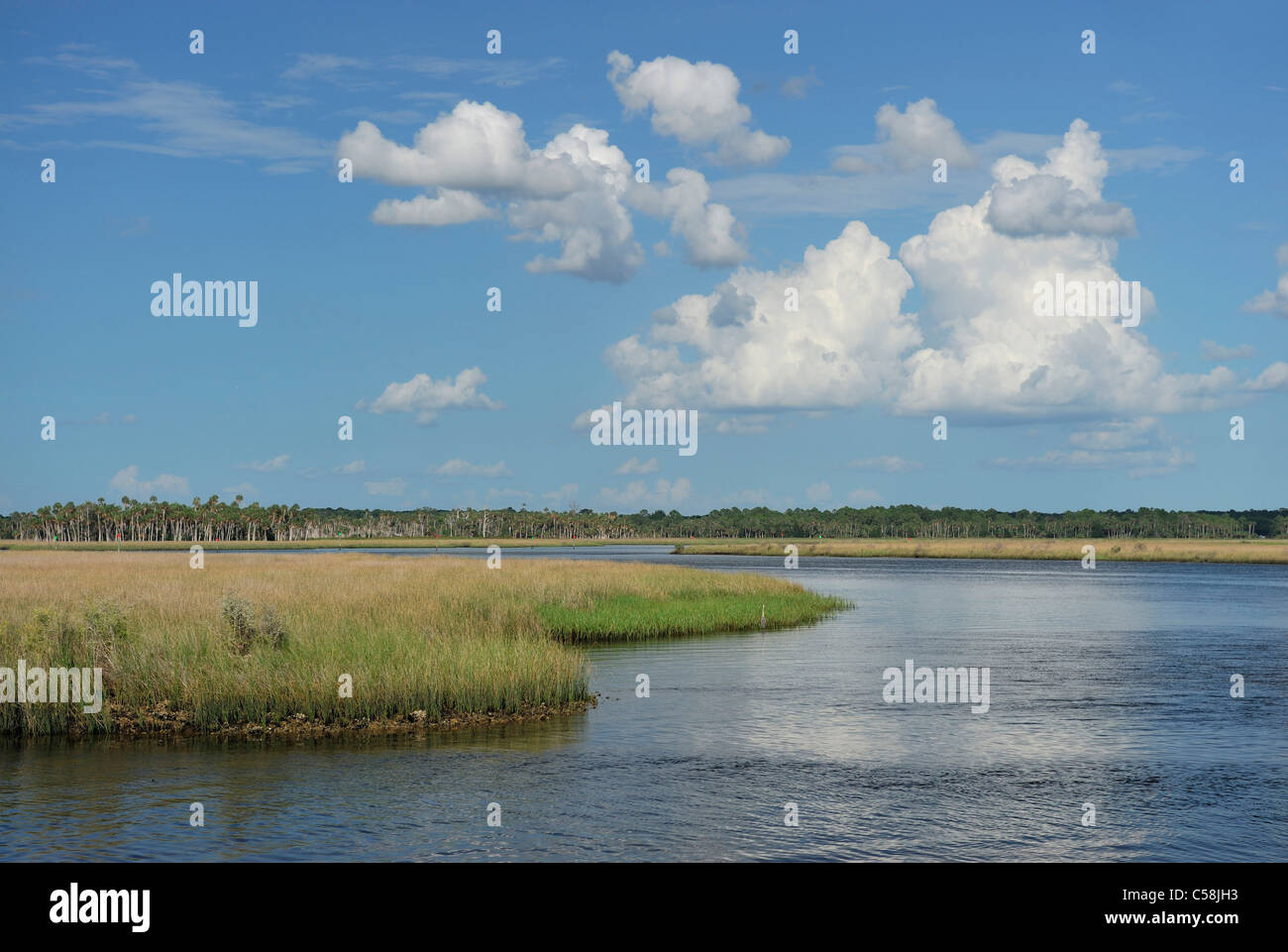 Fluvial, Parque de Bayport, Pine Island, cerca de Spring Hill, Florida, USA, Estados Unidos, América, el agua, el cielo Foto de stock
